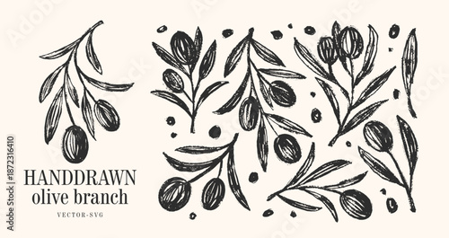 Botanical Herb Olive Branch Clip Art Vector for olive oil logo or olive icon, hand drawn olive branch elements in vector format, floral olive frame and border	