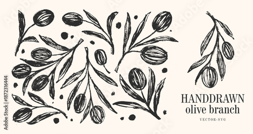Botanical Herb Olive Branch Clip Art Vector for olive oil logo or olive icon, hand drawn olive branch elements in vector format, floral olive frame and border	