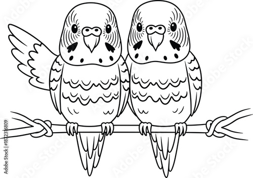 Cute cartoon coloring page illustration of two budgies sitting on a tree branch together with black and white line art vector
