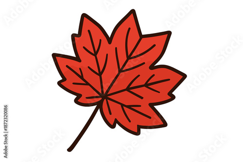 Bright red maple leaf in autumn resting on a plain surface during the fall season