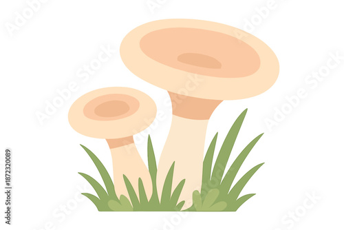 Mushrooms growing in grass under natural light in an outdoor setting during daytime