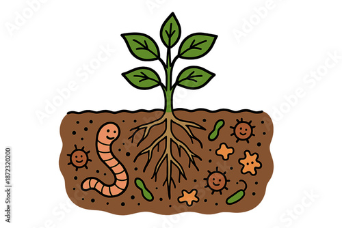 Plant growth under soil with roots, worms and microbes showing interaction in the ecosystem