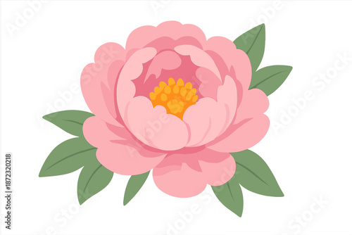Pink peony flower with green leaves on a plain background featuring smooth shapes and simple design