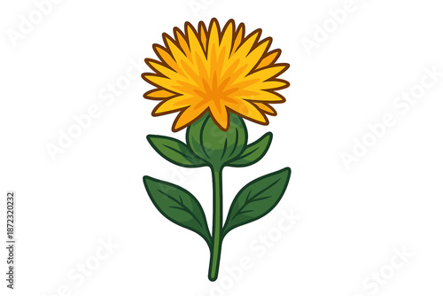 Bright yellow flower with green leaves displayed on a white background during daytime