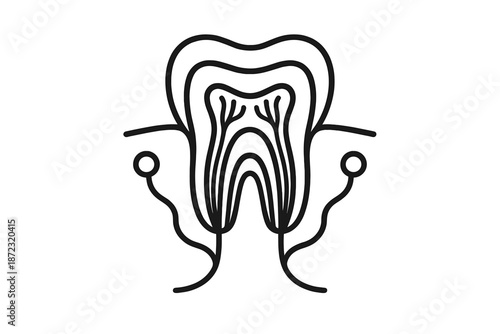 Diagram shows detailed view of a tooth structure with roots and nerves in simple line art design