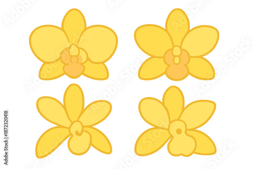 Yellow orchid flowers shown in four different views with simple designs and bright colors