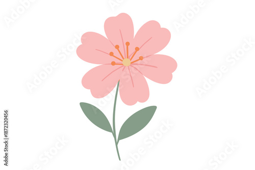 Pink flower with green leaves displayed on a white background illustrating simplicity and nature