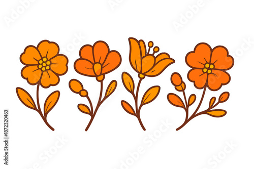 Bright orange flowers with green stems are arranged in a row on a white background during a sunny day