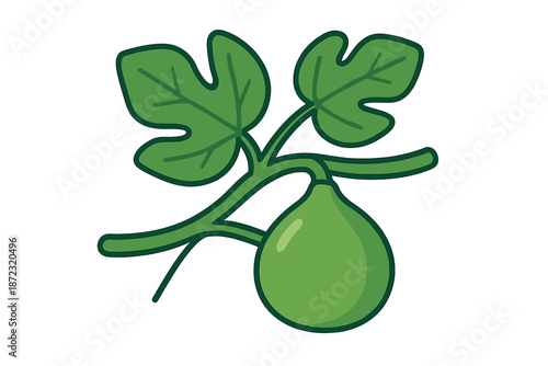 Green fig growing on a branch with large green leaves in a natural setting during daytime