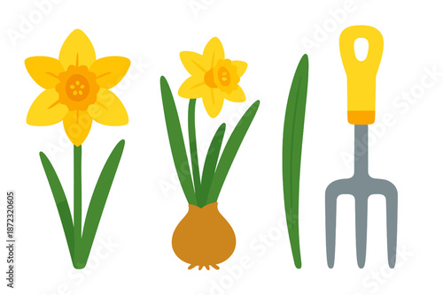 Daffodil flowers, a bulb, and a gardening fork illustrate spring gardening activities and plant care in a garden setting