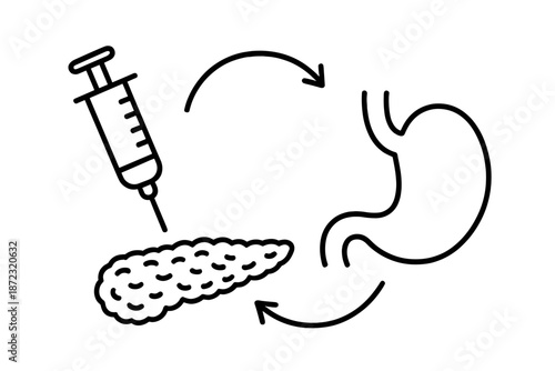 Understanding the process of insulin delivery from the pancreas to the stomach in human digestion and metabolism