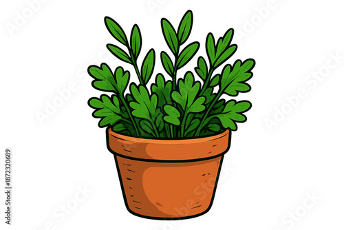 Potted plant with green leaves in a brown pot sitting on a plain background