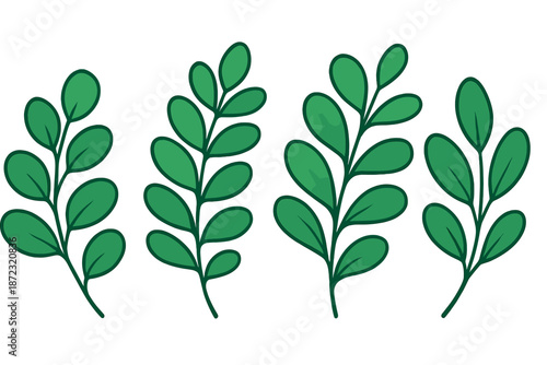 Different types of green leaves arranged in a row for an art project or design purpose