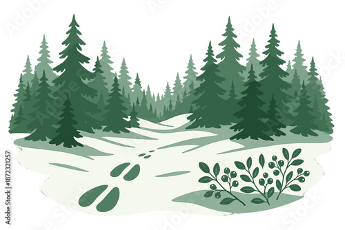 Snowy path through evergreen trees with animal tracks and plants along the side in a winter forest setting