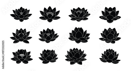 A collection of black silhouette lotus flowers in various blooming stages