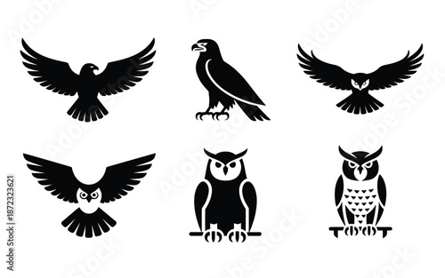 Raptor and owl silhouette set, flying hawk poses, nocturnal wildlife icons, night hike event poster, birdwatching workshop branding, vector pack