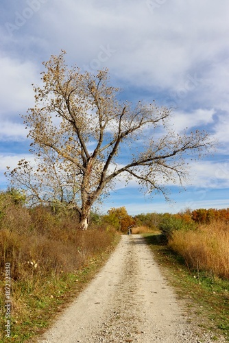 The long gravel road in the country on a sunny day.