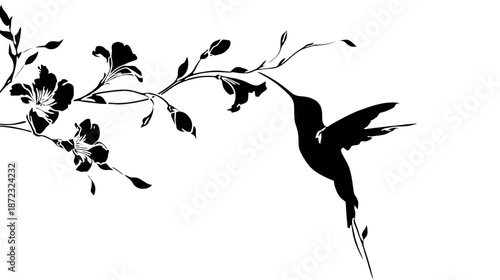 Elegant black hummingbird silhouette flying towards a delicate flowering branch, decorative illustration on white background.