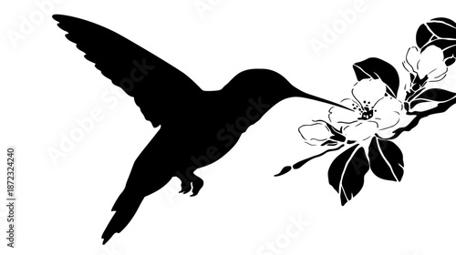 Black silhouette of a hummingbird hovering next to a blooming flower branch, elegant vector graphic design element for nature concepts
