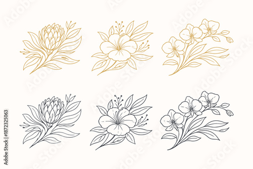 Exotic Botanical Flower Illustration Set with Gold Outlines