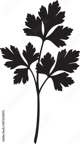 Illustration of parsley