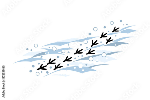  Bird Tracks on Snow. Small hopping prints scattered lightly across the snow surface. Fragile