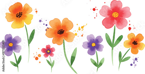 Vibrant flowers blooming in a colorful garden scene from a direct viewpoint.