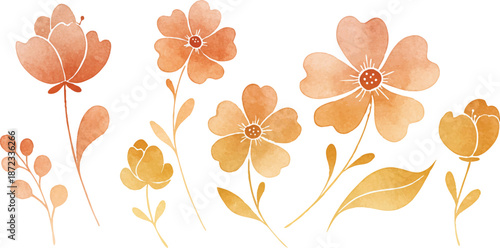 Floral arrangement of orange flowers and leaves on a white background from a top-down viewpoint.