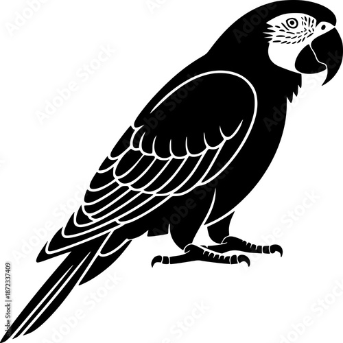Black and white parrot sitting on a branch in a simple vector illustration
