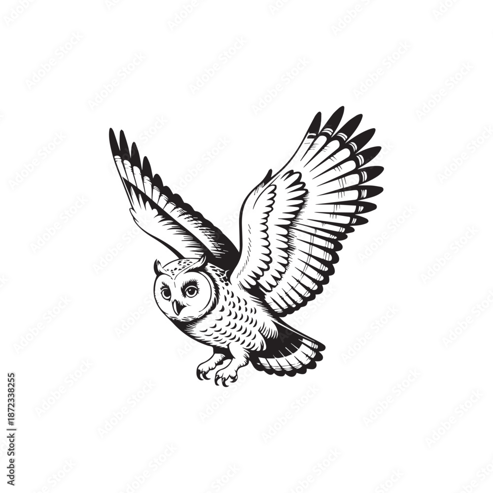 Obraz premium Flying Owl Line Art Illustration