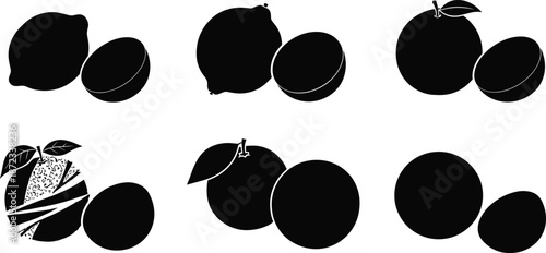 Citrus fruit silhouette vector set featuring oranges, lemons, grapefruits with leaves, stems, and peeled textures for food design use