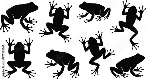 Frog silhouettes collection featuring jumping and sitting frogs with spread toes isolated on white background, amphibian wildlife vector illustration set