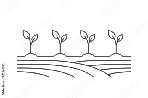 New plants grow in rows on a field during spring season under bright sunlight near a farming area