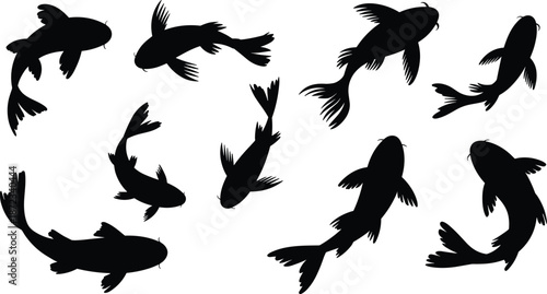 Graceful Koi Fish Silhouettes Swimming in Harmony, Showcasing Elegant Motion and Symbolic Beauty in Asian-Inspired Minimalist Aquatic Art Design