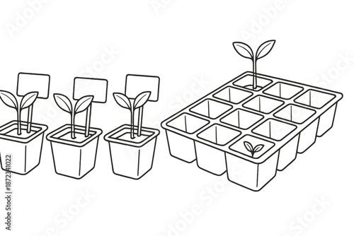Planting small seedlings in pots and trays on a table for gardening in a home setting