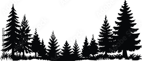 Pine forest silhouette landscape, conifer trees woodland scene, nature panorama background, wilderness outdoors, isolated black vector illustration