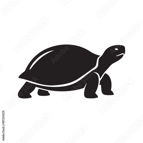 Silhouette of a tortoise in a side profile against a white background, showcasing its distinct shell and legs