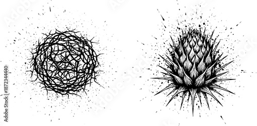 Grunge Tattoo Style Thistle Flower Bud and Spiky Sphere Sketch
