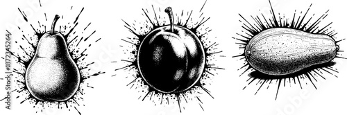 Vintage Black Ink Fruit Splatter Graphic Illustration Set