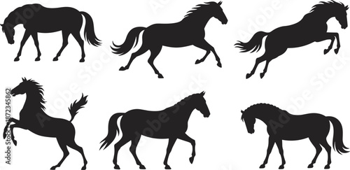 Horse Silhouette Collection Showing Running, Walking, Rearing, and Galloping Poses, Elegant Equine Motion, Strength, Freedom, and Animal Movement Illustration