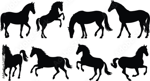 Horse silhouettes collection featuring running, standing and rearing horses isolated on white background, equine wildlife, farm animal vector illustration set