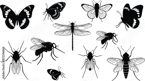 Flying insect silhouettes collection illustration, butterflies dragonflies mosquitoes and flies set, entomology and nature study elements, detailed black and white vector design