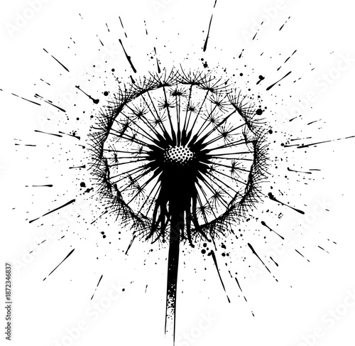 Distressed Dandelion Puffball Vector Illustration Black Ink