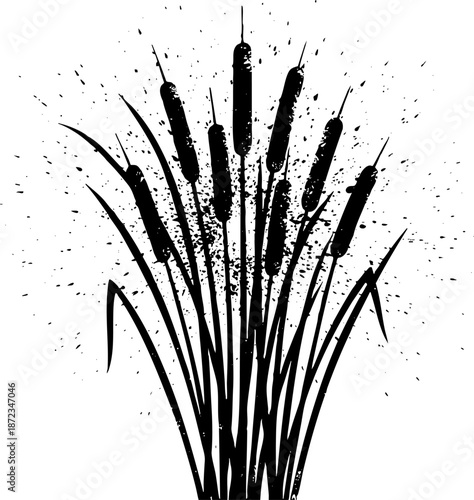 Cattails black silhouette vector illustration with grunge splatter