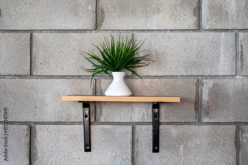 Modern interior design with a green plant in a white vase on a wooden shelf against a grey cinder block wall.