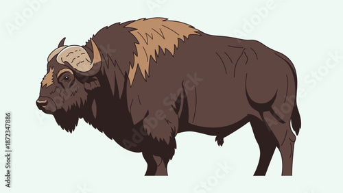 Bison Standing Sideways with Fur Details.