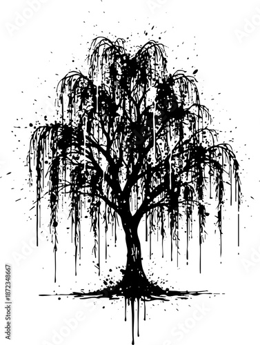 Stylized Black and White Weeping Willow Tree Ink Illustration