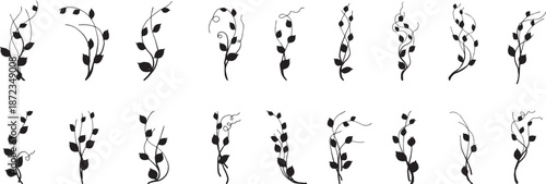 Elegant floral vine dividers with delicate leaves and branches. Hand drawn botanical line ornaments for invitations, frames, and borders. Perfect for wedding design, stationery, and decorative layouts