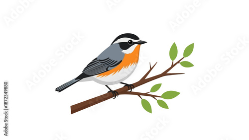 Colorful Bird Perched on Tree Branch.