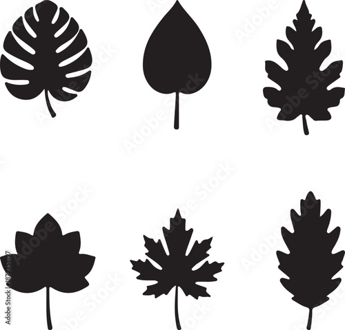 Detailed analysis of a vector design file created with adobe illustrator